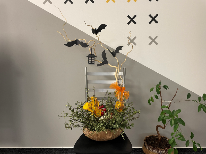 Halloween je tady